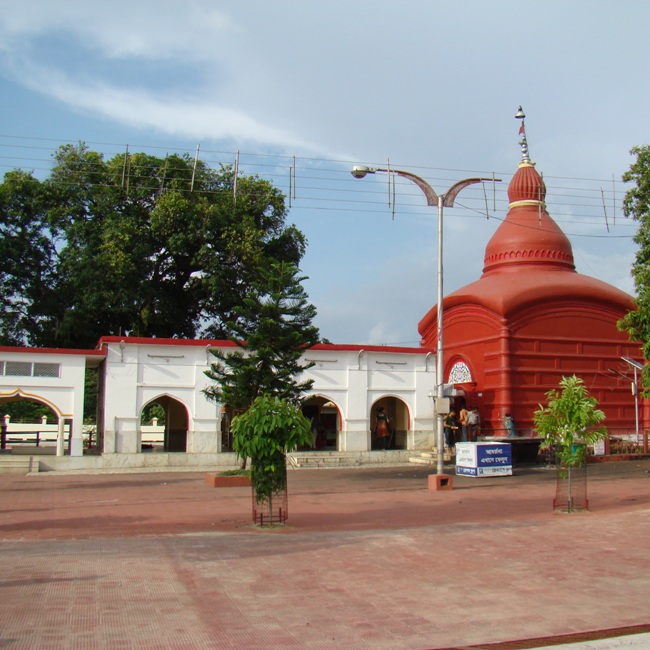 Main Image