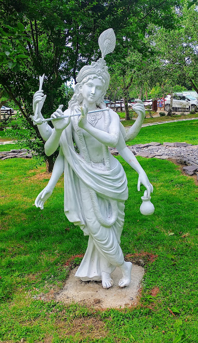 Main Image